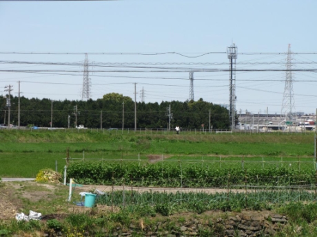 画像55